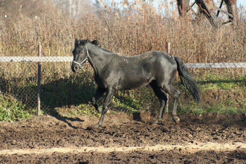 IMG_1314.jpg1.jpg"%20height="533"%20width="800